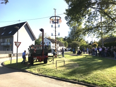 Maibaumfest